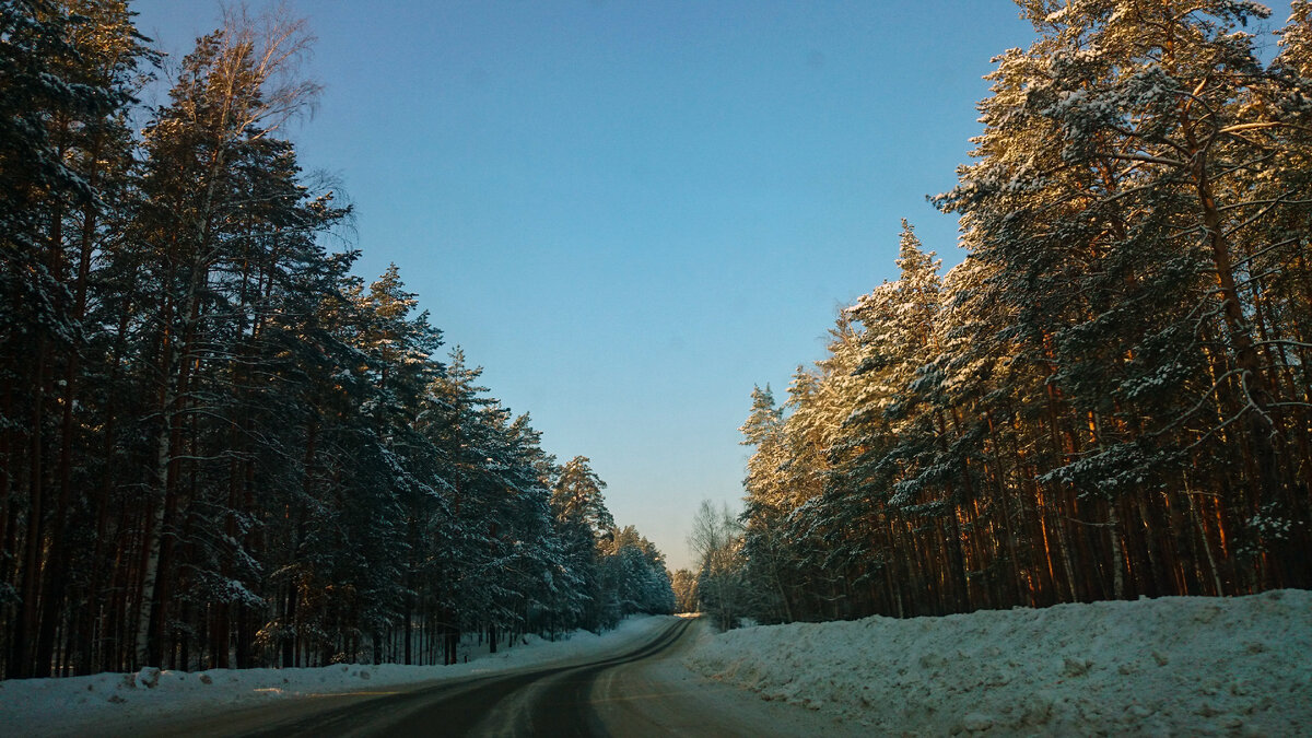 Дорога в Заволжье извилистая и живописная Фото автора.