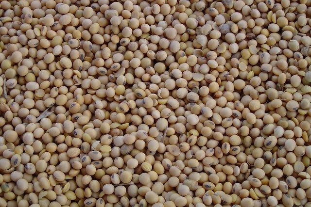 Фото: freeimages.com 