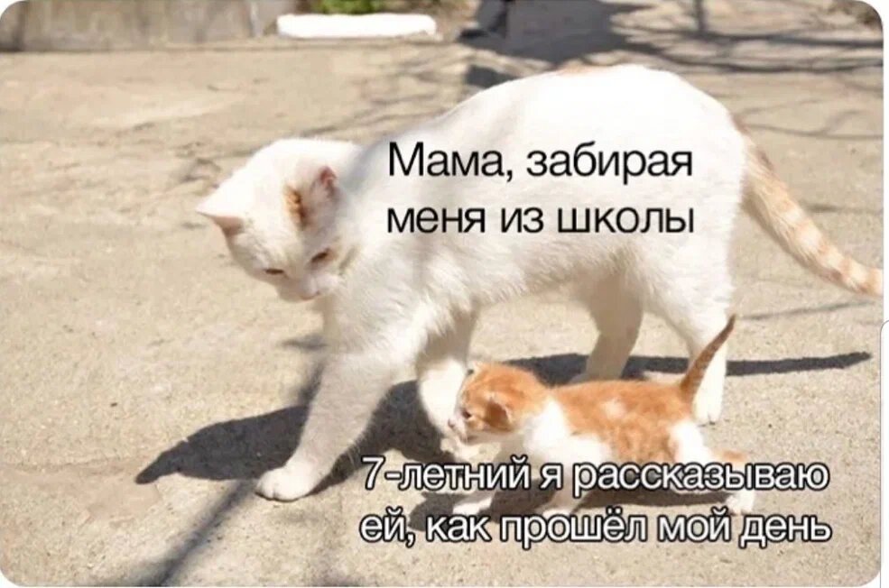 Милый мем