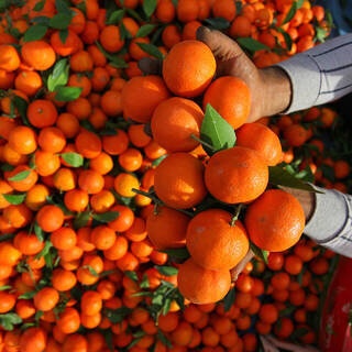 самая эффективная диета после Нового Года