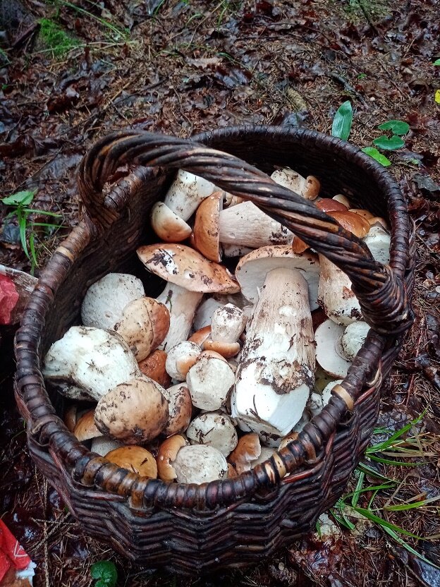 Фото Евгения Баюрина