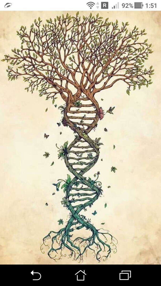 фото Жизненные признаки сонастроенности с высоковибрационным частотным эфирным полем, а также поквартальная настройка сознаний людей