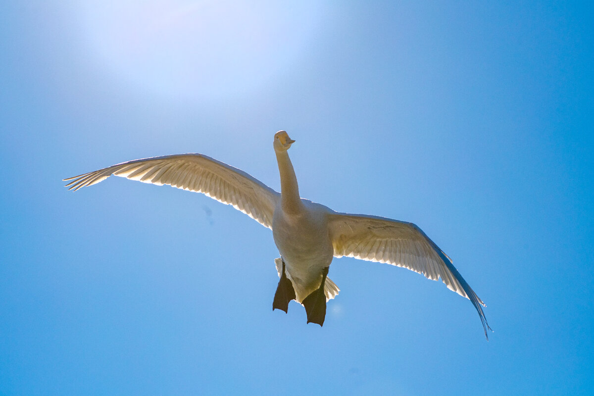 Ближе к солнцу...