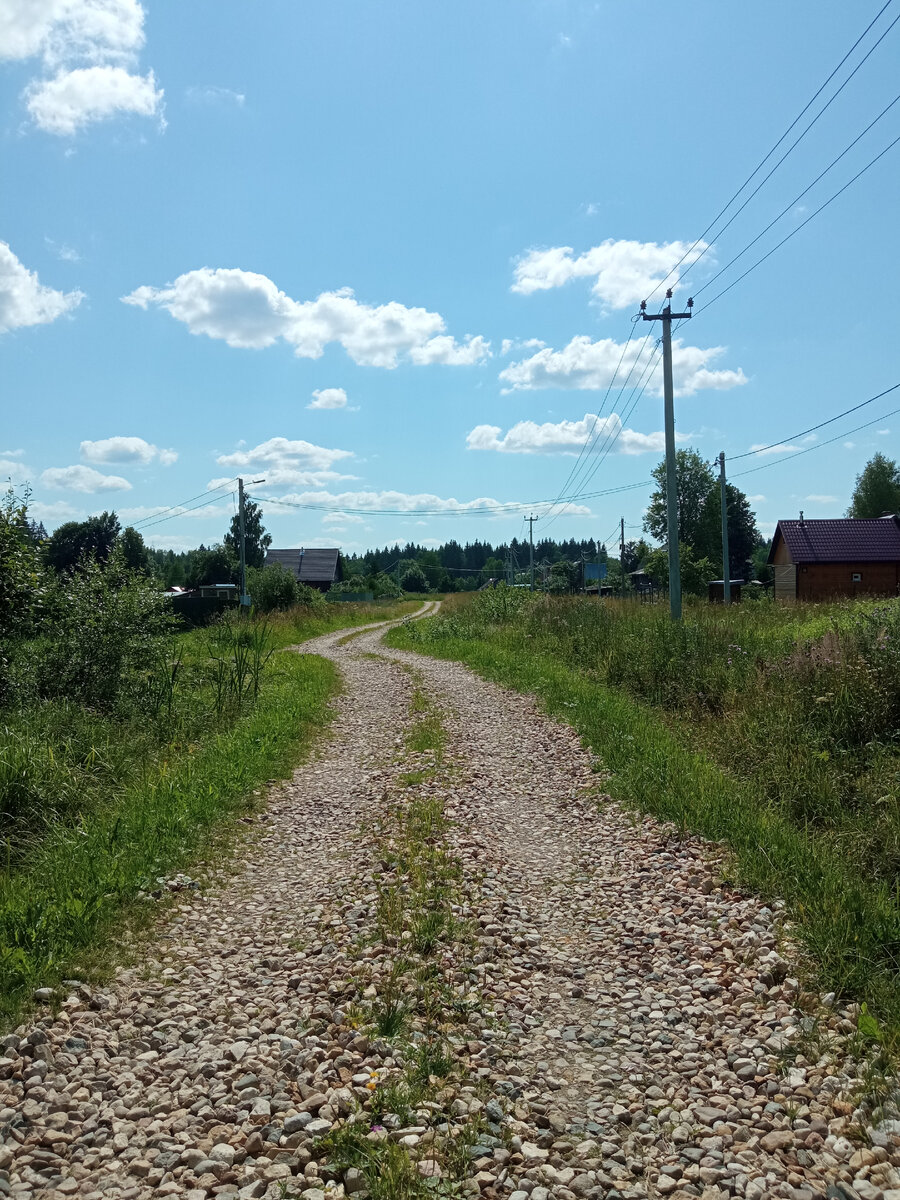 Наша деревня (фото автора) 