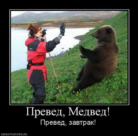 Превед медвед оригинал картинки фото