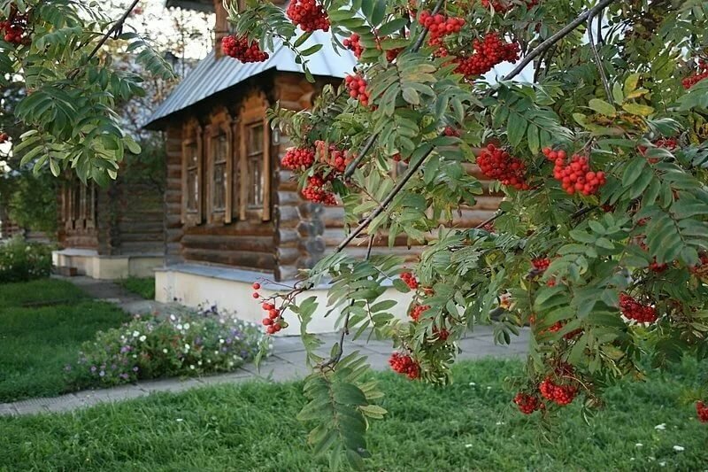 Река рябина