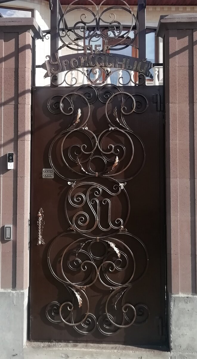 Кованая накладка на дверь.