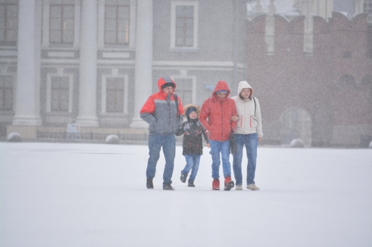    В Тульскую область снова придут снегопады, гололёды и ледяные дожди