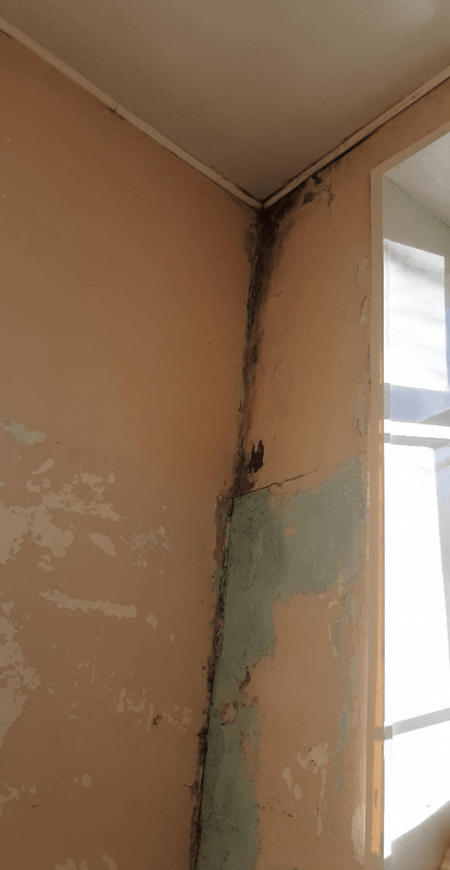    Плесень в одной из палат корпуса. Фото предоставлено читательницей «МОЁ! Online»