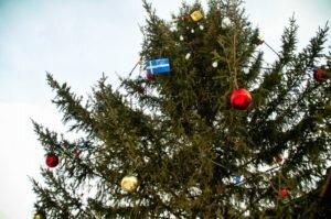    Фото: Александра Горбунова/АиФ Ольга Суханова