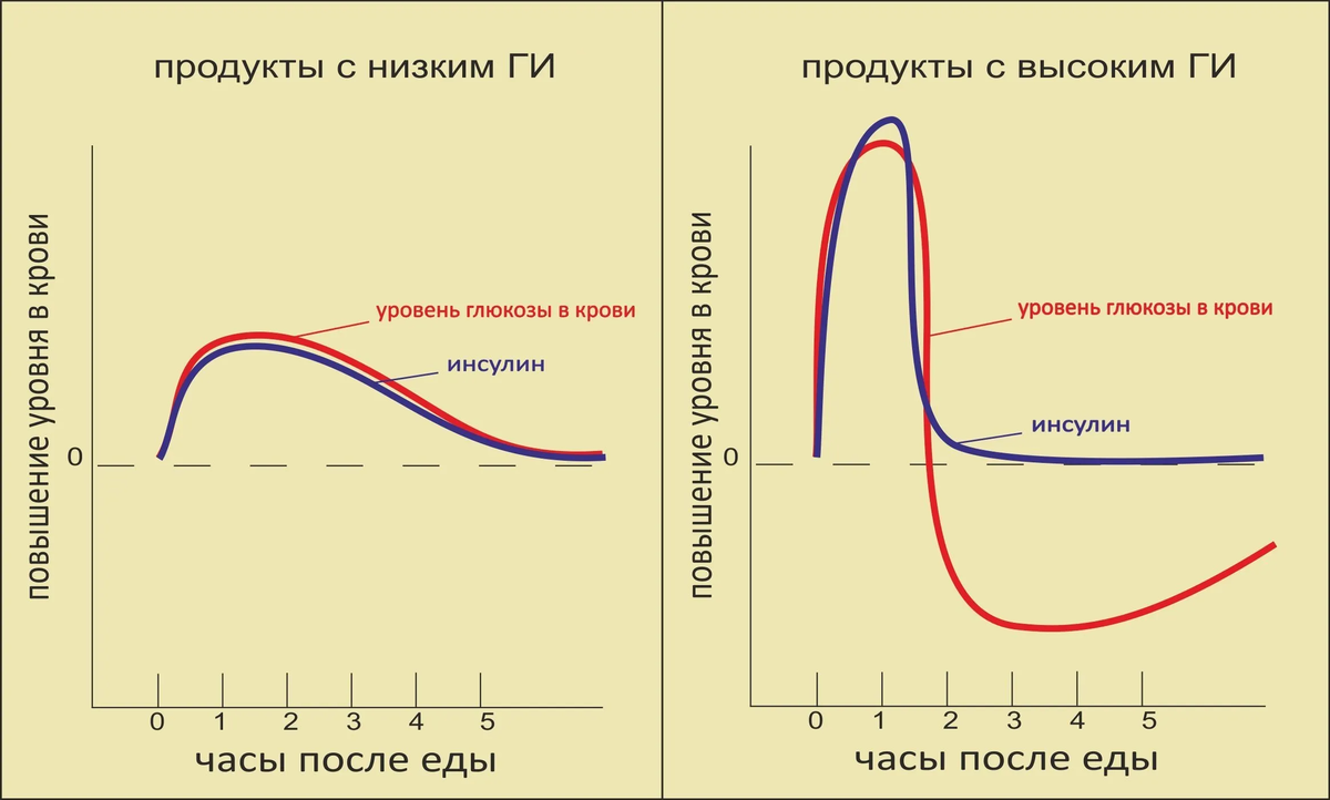 После приема пищи повышается. График уровня Глюкозы после еды. График уровень Глюкозы в крови после еды. График Глюкозы и инсулина. Диаграмма сахара в крови здорового человека.