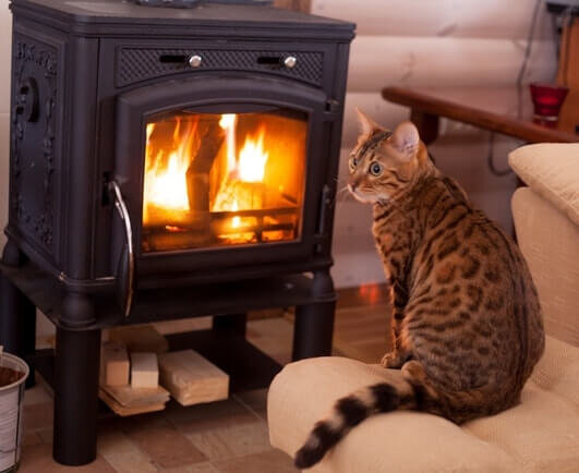 Автор и правообладатель данного изображения: https://domikdomovenka.ru/products/bengalskaya-koshka