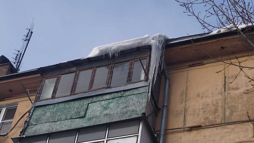    Фото: globallookpress.com