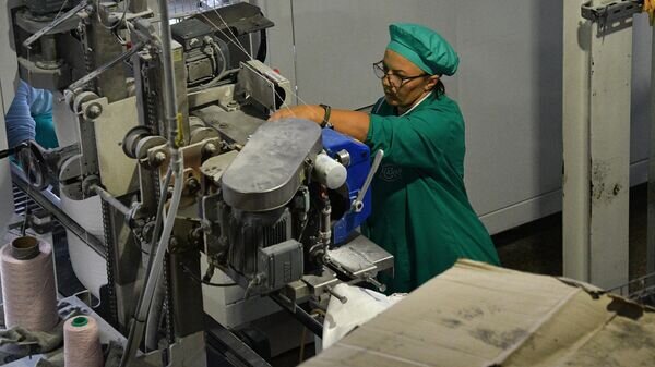   © Sputnik / Виктор Толочко