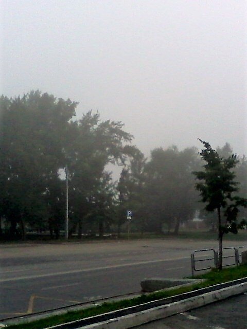 Туман на Лесопарковой