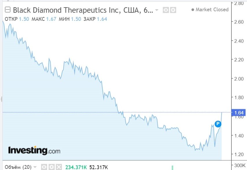 Выбираем акции для инвестирования: Black Diamond Therapeutics, Inc. (BDTX)
