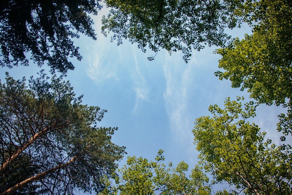     осенью по сравнению с летом 2022 Удмуртия улучшила экологические показатели Сергей ГРАЧЕВ