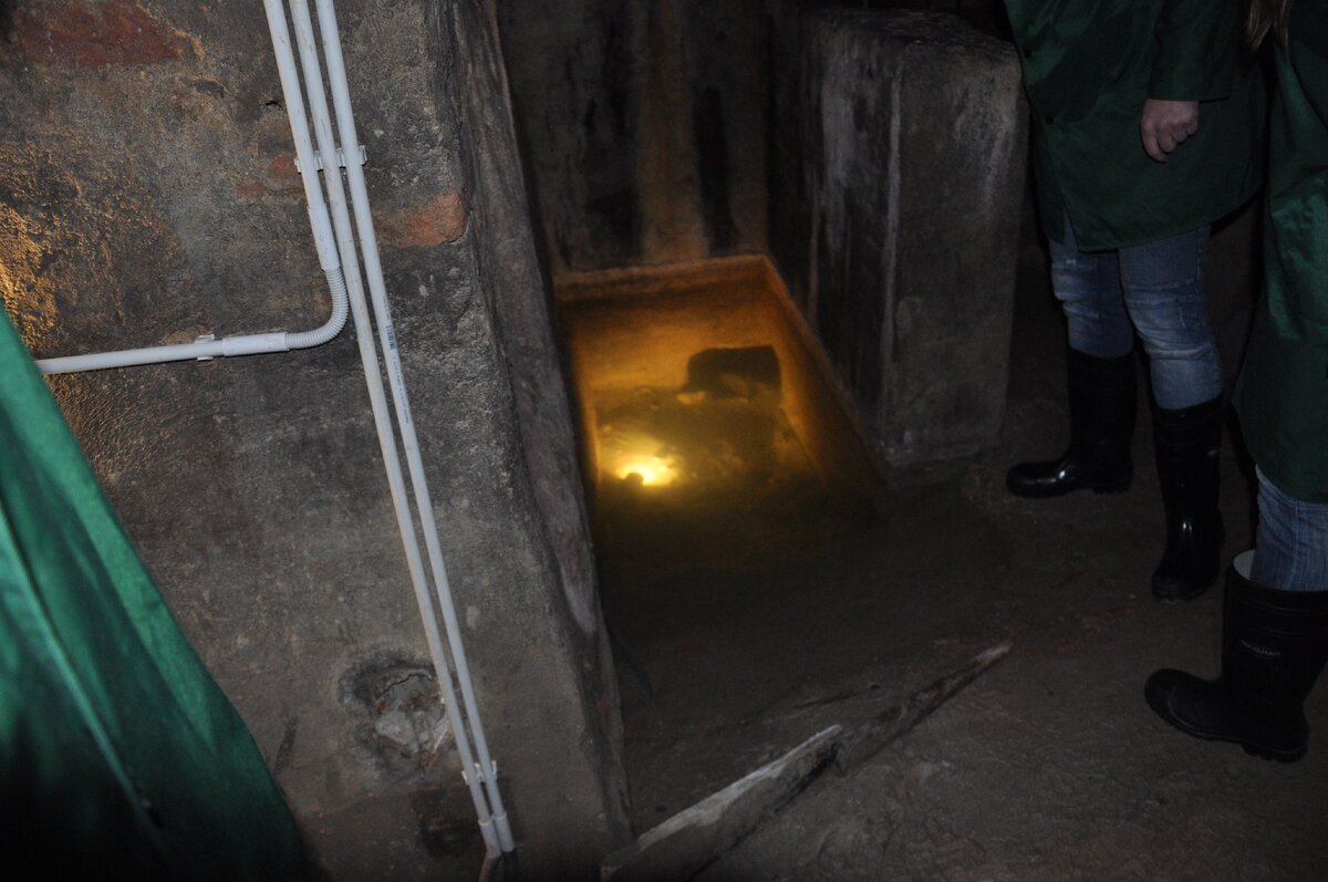 В подземельях четыре этажа, но на нижний ходу нет - он затоплен и завален. Да и третий расчищен не полностью. Как-никак, а часть шахт является частной собственностью.