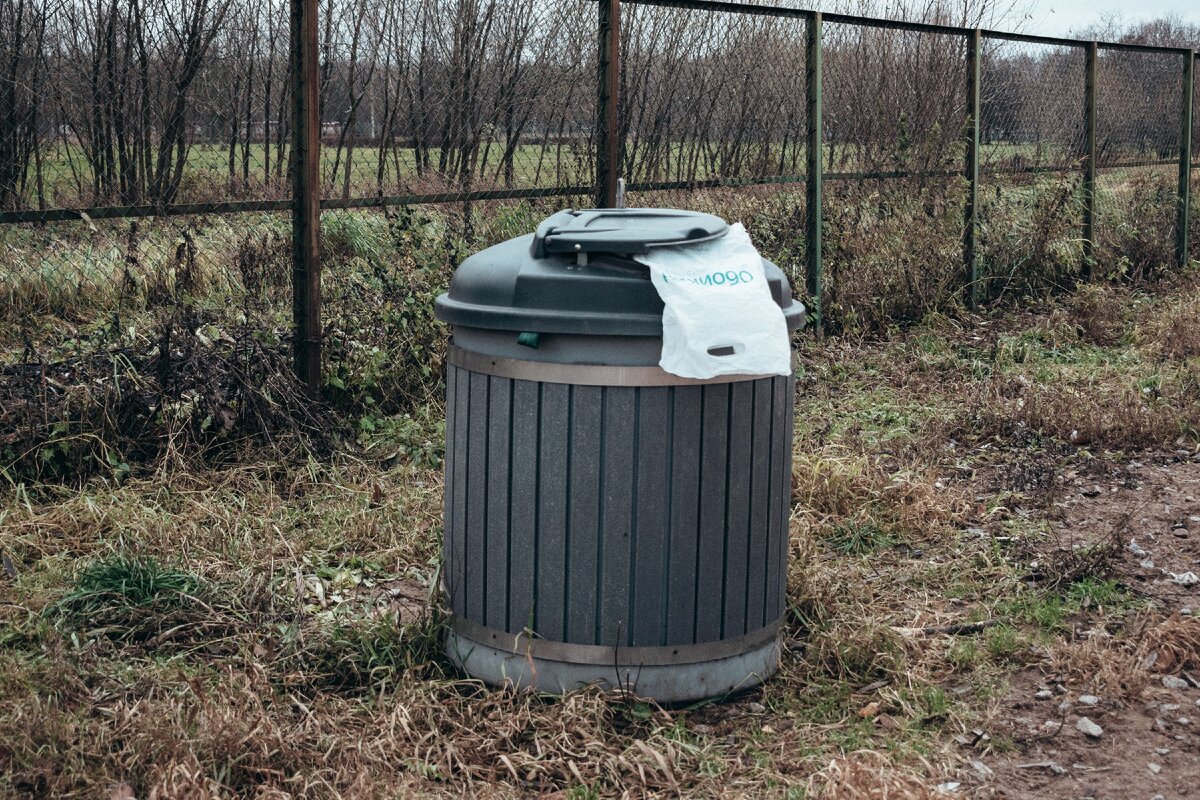 Площадка для собак в Пискарёвском парке. Санкт-Петербург