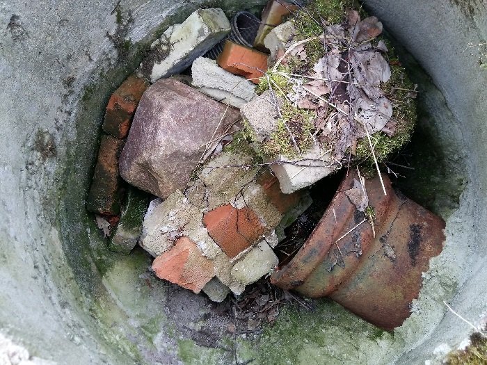 Озеро Судаковское. Фото из ВК Е. Козлова