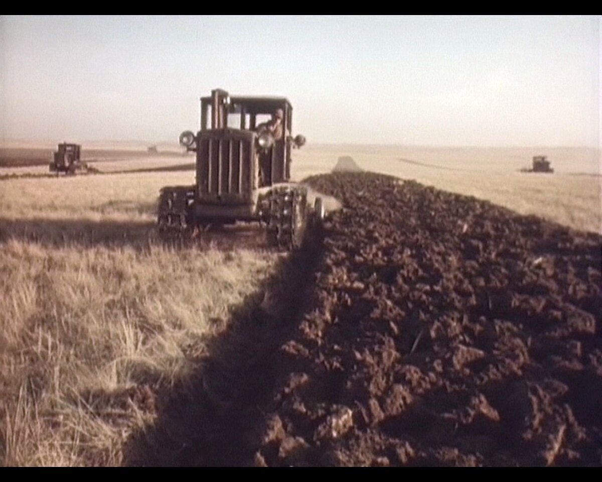 Г освоение целины. Целина в Казахстане 1954. Целина на Алтае 1954. Целина 1954 год. Целина освоение целинных земель СССР.