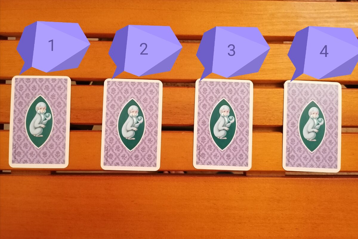 Выбери свой вариант!