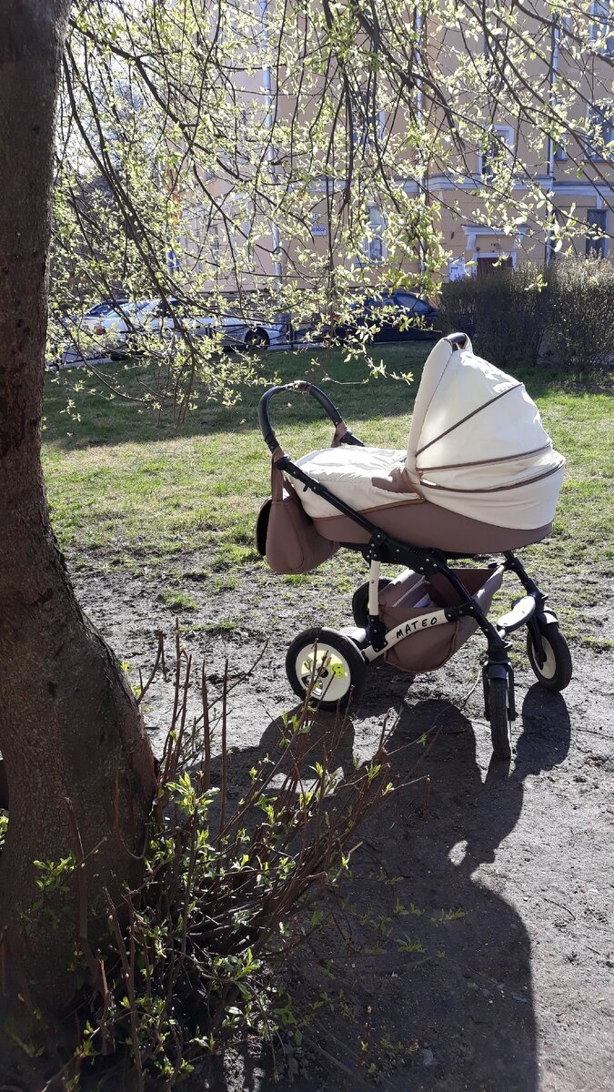 Фото из личного архива. Прогулка с детьми. Погода просто чудесная! Дочка в кадр не попала.