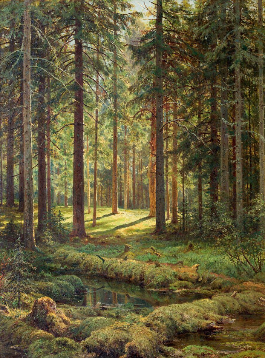 Хвойный лес