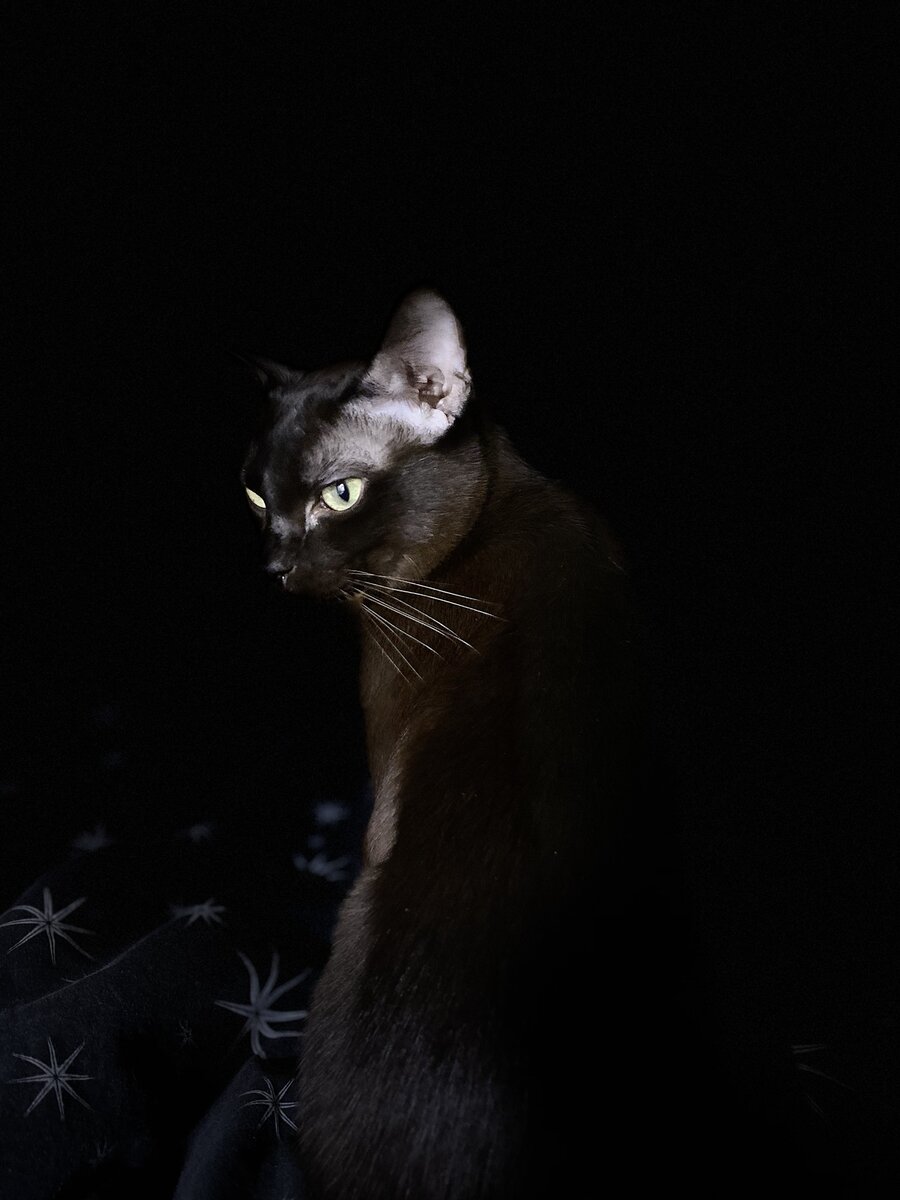 Фото автора. Марсокот)