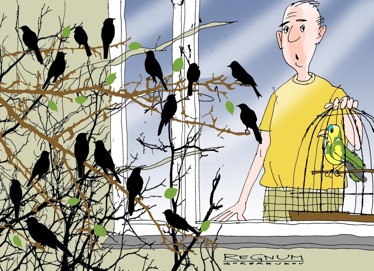 фото из интернета