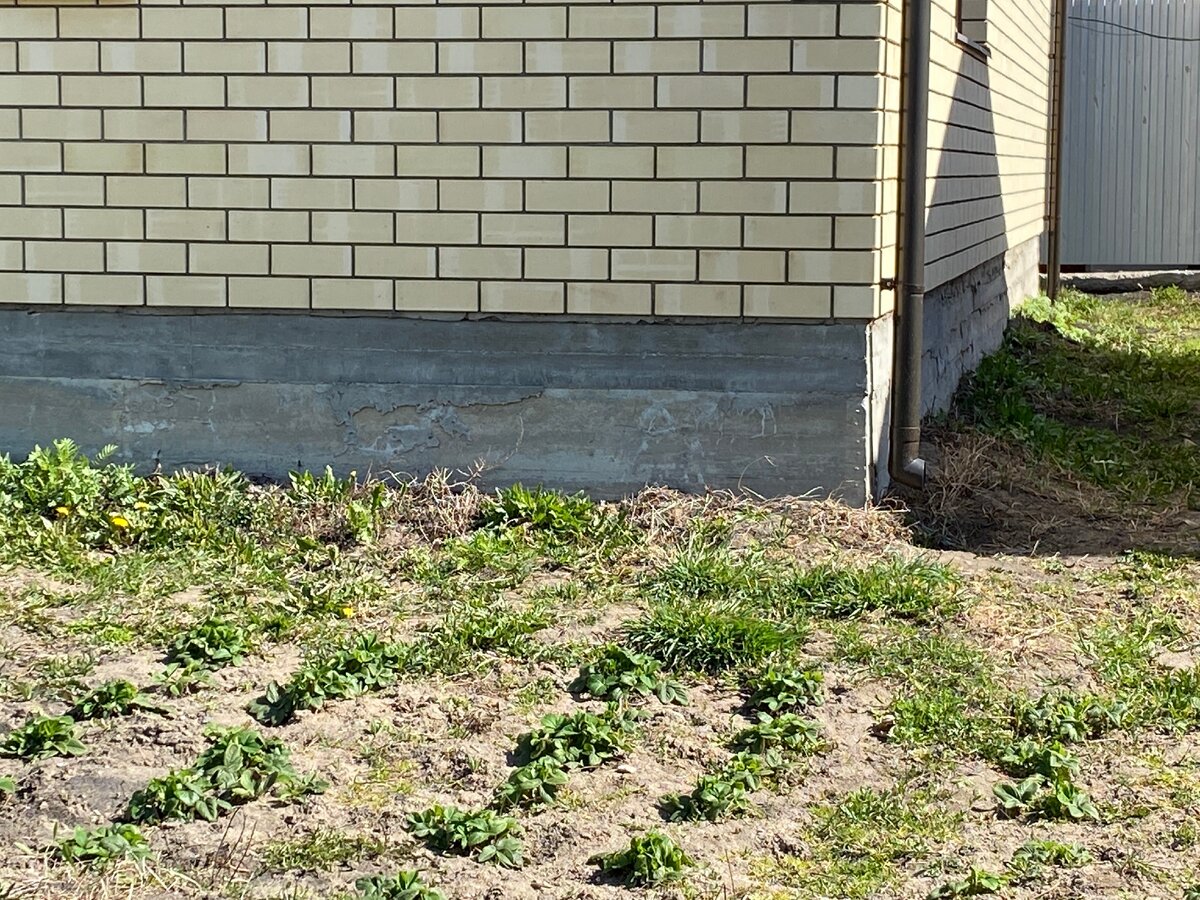 На фото свай уже не видно. Так как кирпич полуторный, то можно понять толщину плиты - около 200мм. 