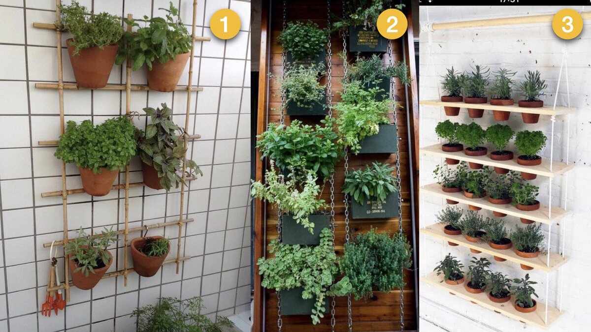 Коллаж из фото с сайта Pinterest.com.