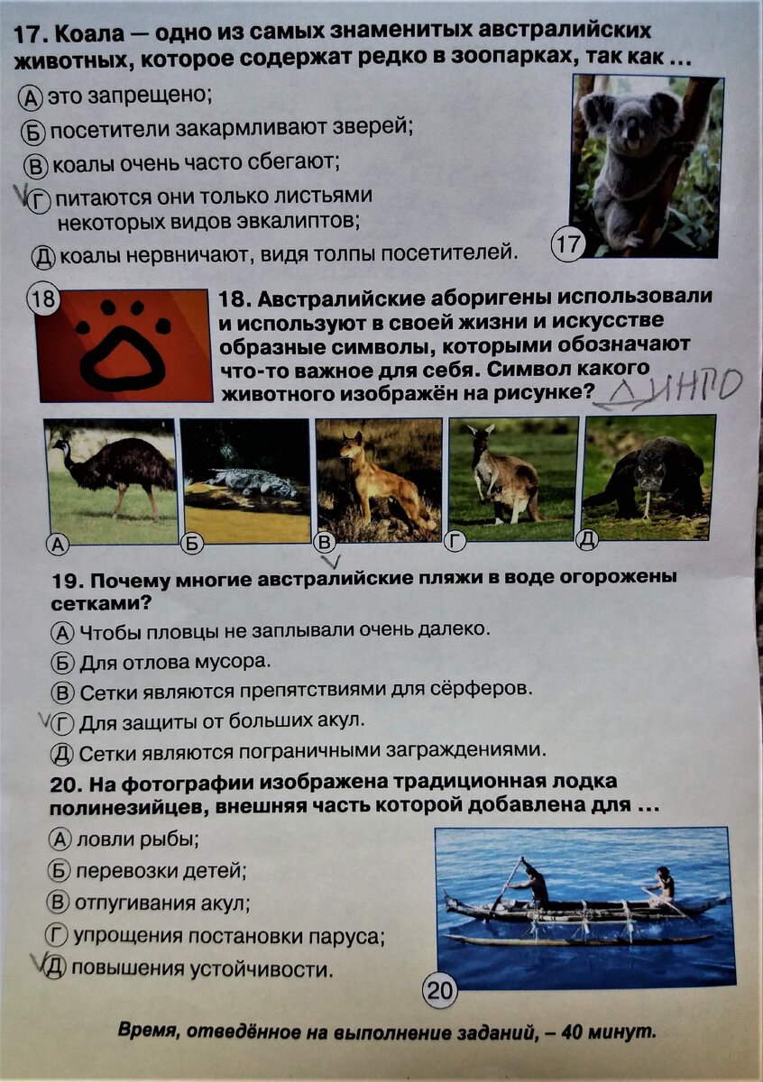 Зато в Интернете много интересного узнали об Австралии, пока уточняли ответы на вопросы