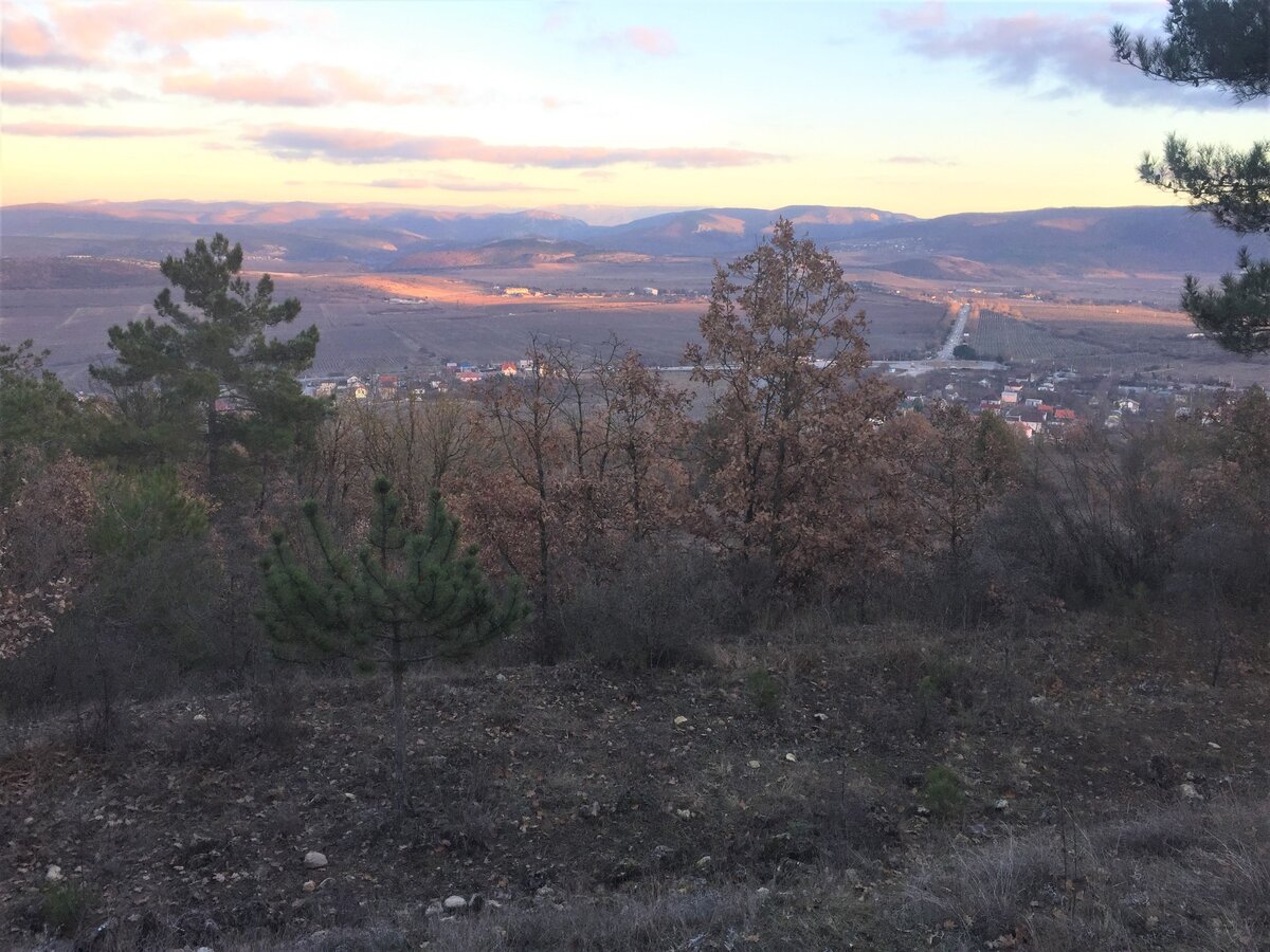 Вид с Сапун-горы на наши дома и на Ялтинское кольцо, фото  сделано в январе 2020г.    Фото из личного архива.