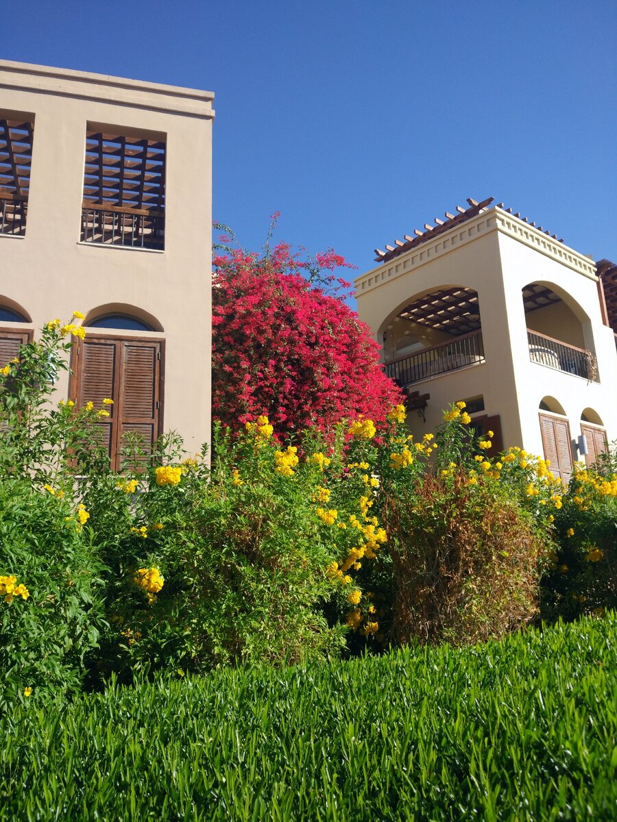 Яркие краски Тала Бей