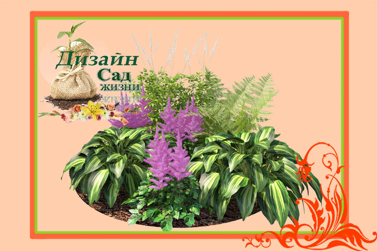 Компаньоны хосты