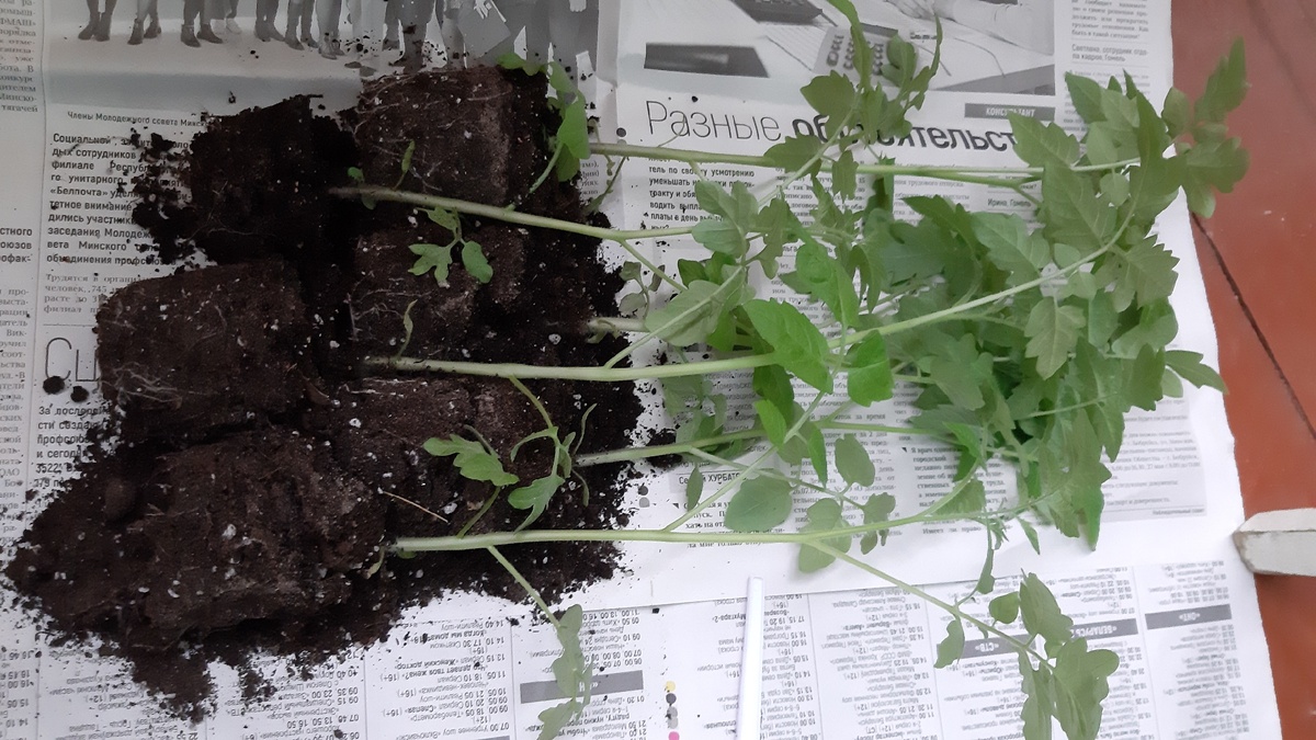 Укладываем горизонтально. Фото автора.