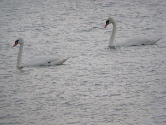 Фото автора,1995г.