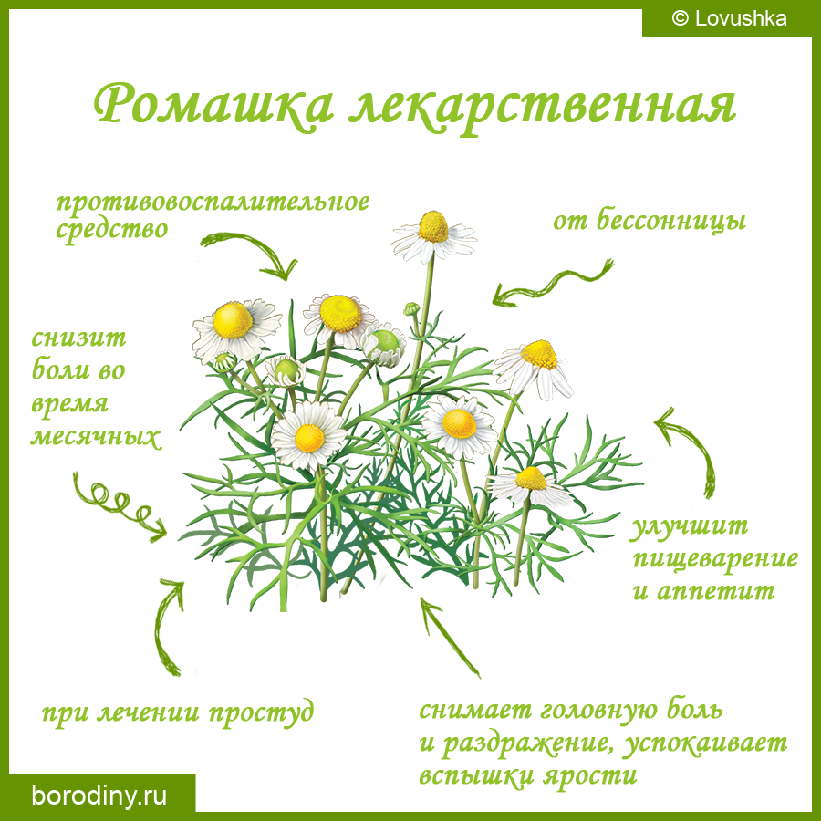 Фото из открытых источников интернета. 