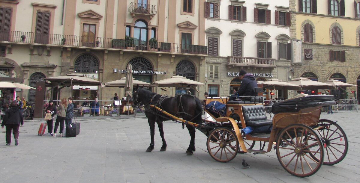 Личное фото. Флоренция.