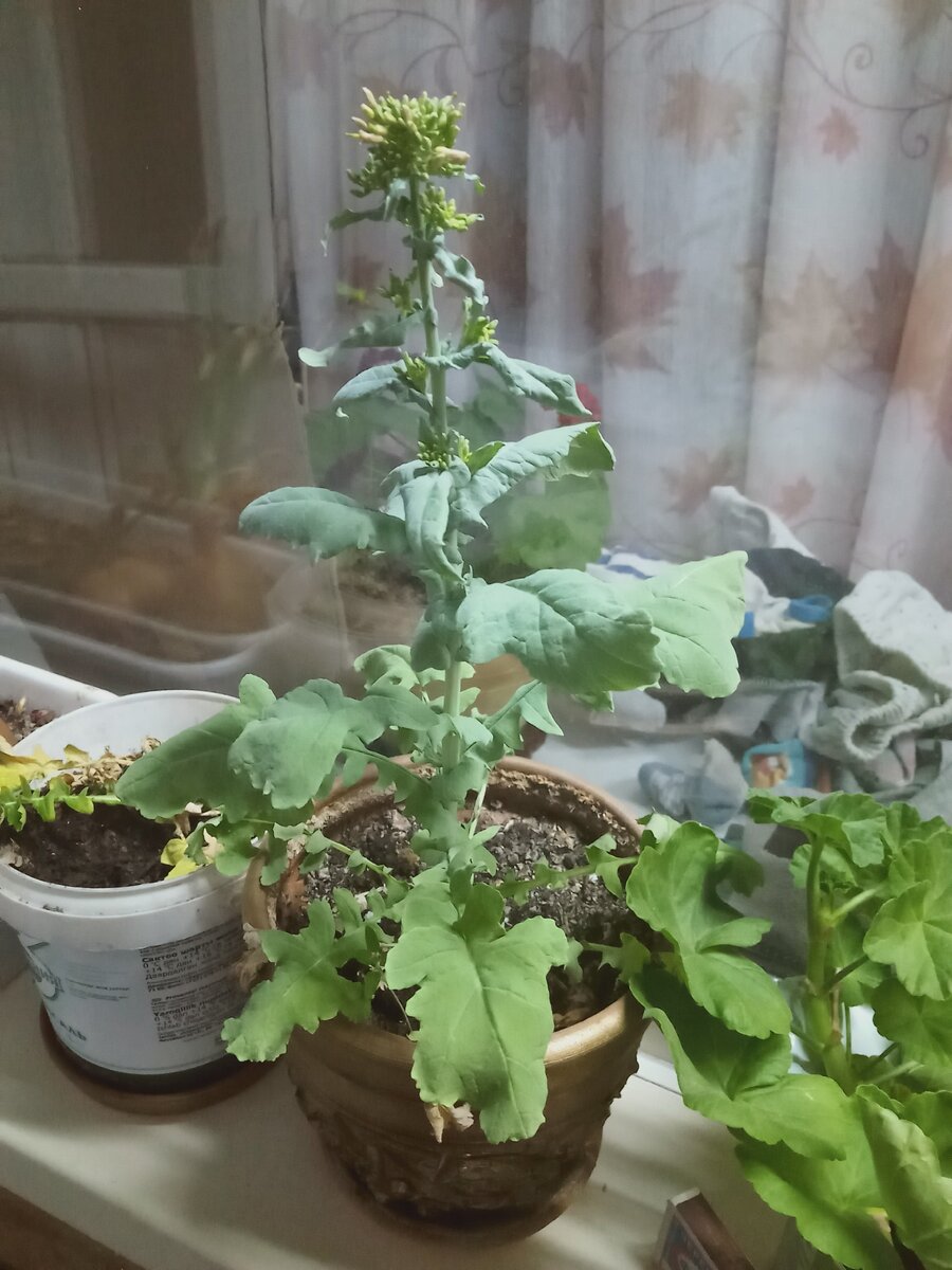 Листайте вправо