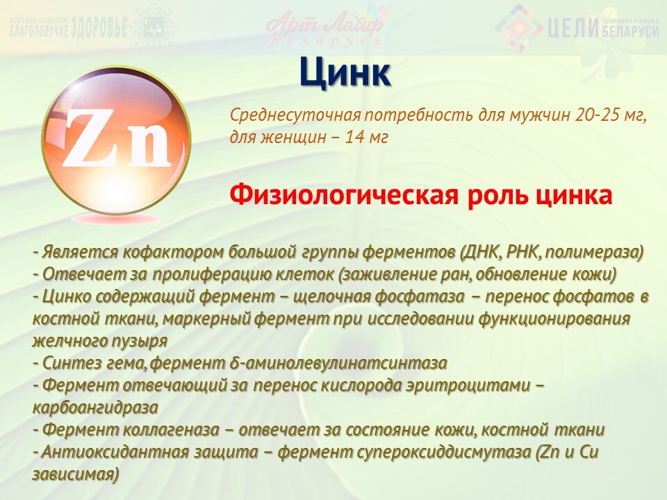 Никакого пива и сладкого: 10 продуктов, которые губительно влияют на эрекцию