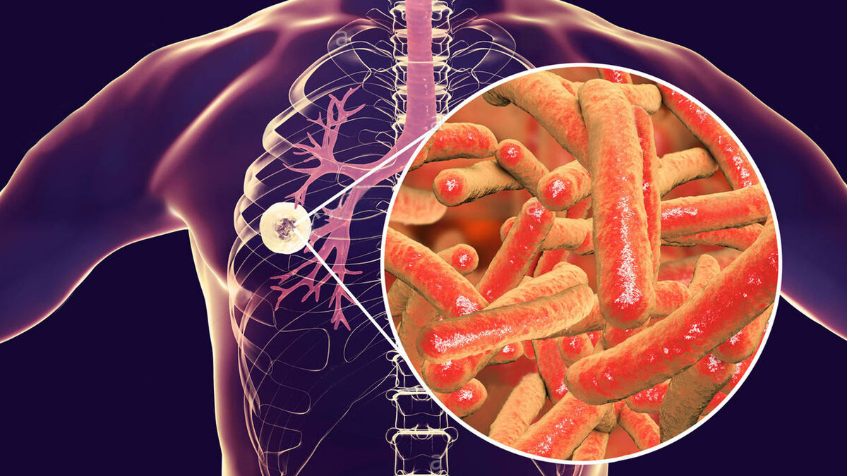 Фото из сети Интернет