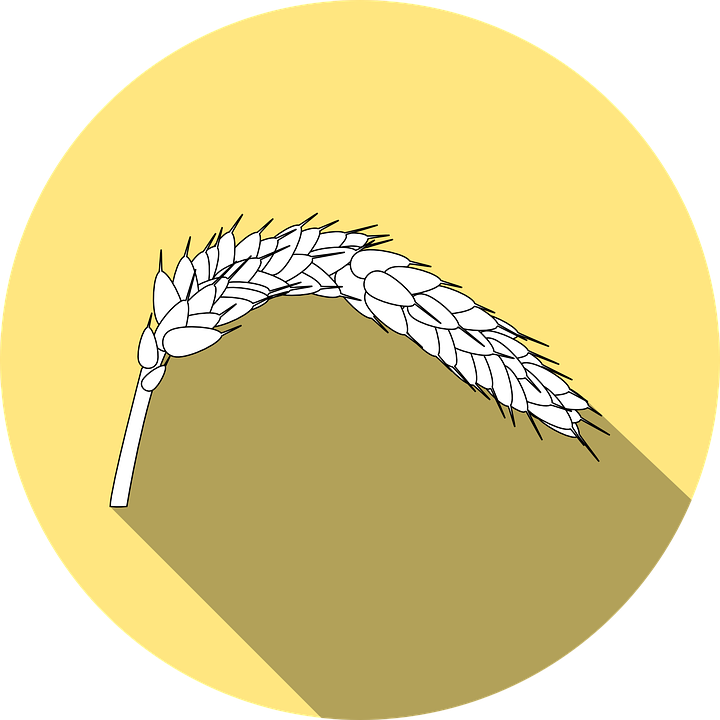 Пример рисунка глютена на упаковках продуктов