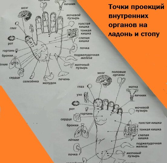Терапия Су Джок
