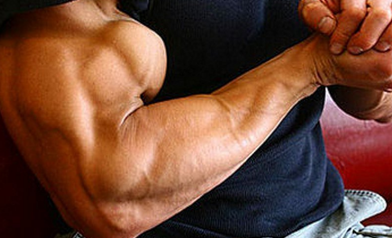 Sbc600 Bicep