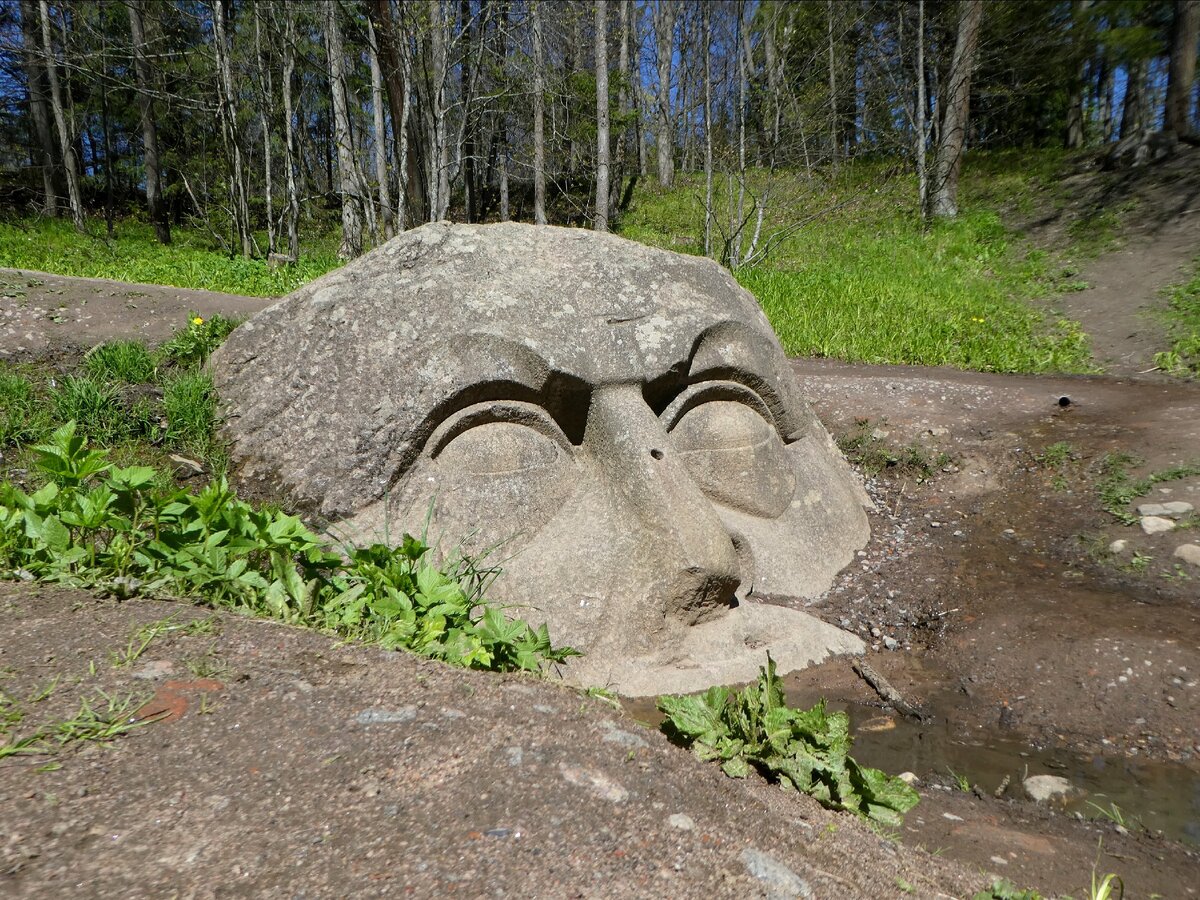 Сергиевка в петергофе. Каменная голова в Петергофе. Голова в парке Сергиевка в Петергофе. Закопанная голова в Петергофе. Сергиевка голова каменная.