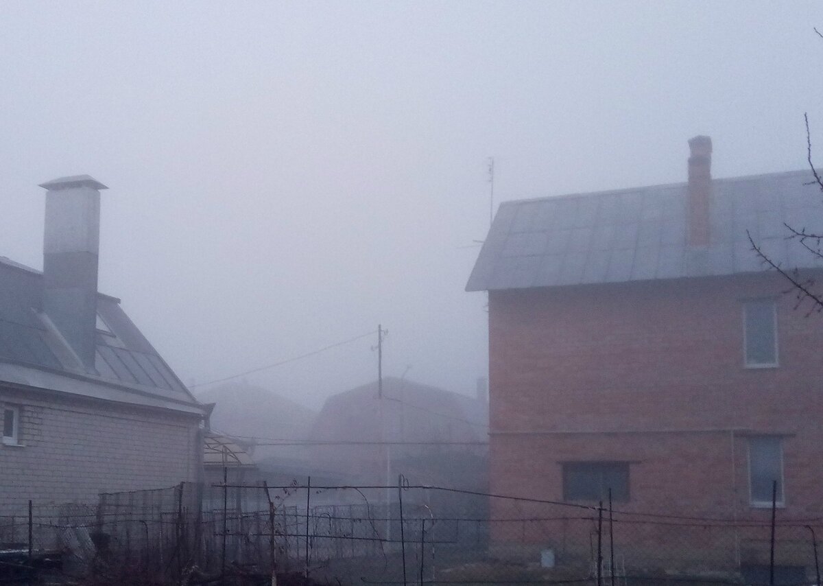 Туман во дворе - 10 марта 2020 года