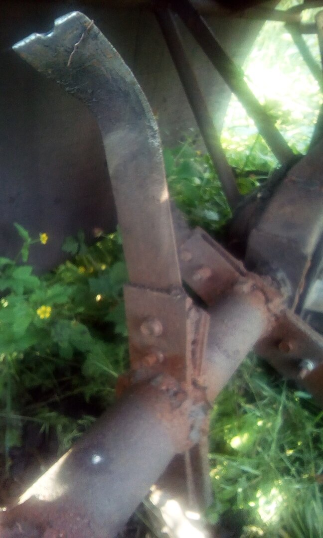 Фото из личного архива