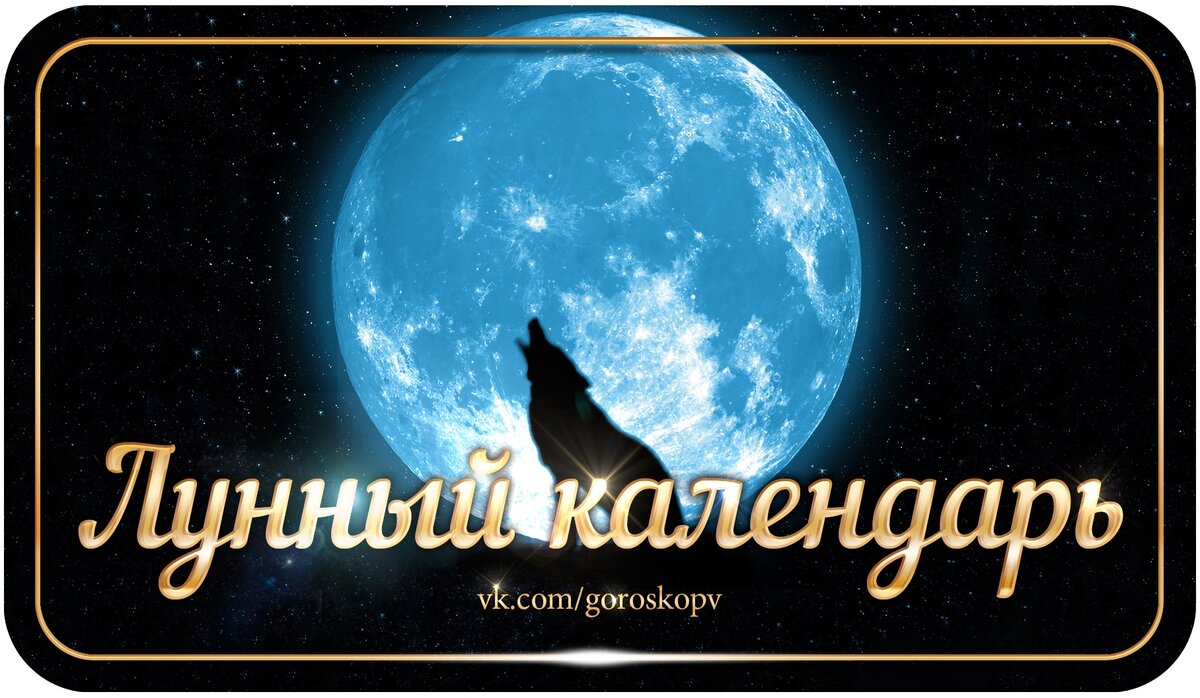 Анастасия Васс